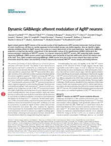 nn.4392-Dynamic GABAergic afferent modulation of AgRP neurons