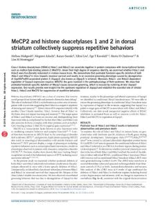 nn.4395-MeCP2 and histone deacetylases 1 and 2 in dorsal striatum collectively suppress repetitive behaviors