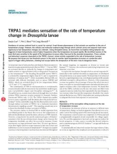 nn.4416-TRPA1 mediates sensation of the rate of temperature change in Drosophila larvae