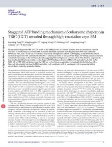 nsmb.3309-Staggered ATP binding mechanism of eukaryotic chaperonin TRiC (CCT) revealed through high-resolution cryo-EM