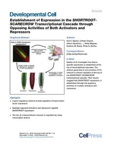 Developmental-Cell_2016_Establishment-of-Expression-in-the-SHORTROOT-SCARECROW-Transcriptional-Cascade-through-Opposing-Activities-of-Both-Activators-