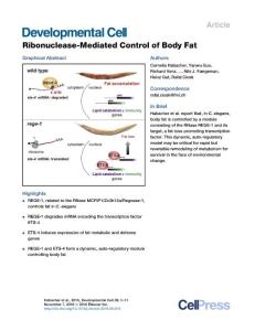 Developmental-Cell_2016_Ribonuclease-Mediated-Control-of-Body-Fat