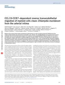ni.3564-CCL19-CCR7–dependent reverse transendothelial migration of myeloid cells clears Chlamydia muridarum from the arterial intima