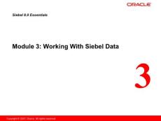 WorkingWithSiebelData