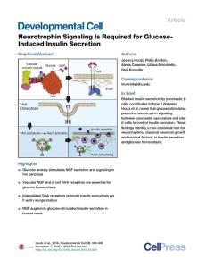 Developmental Cell-2016-Neurotrophin Signaling Is Required for Glucose-Induced Insulin Secretion