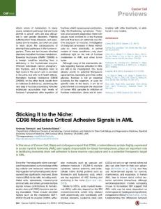 Cancer Cell-2016-Sticking It to the Niche- CD98 Mediates Critical Adhesive Signals in AML