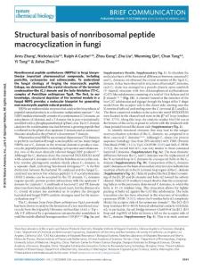 nchembio.2202-Structural basis of nonribosomal peptide macrocyclization in fungi
