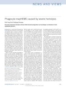 ni.3616-Phagocyte mayHEME caused by severe hemolysis