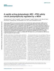 nn.4442-A rapidly acting glutamatergic ARC→PVH satiety circuit postsynaptically regulated by α-MSH