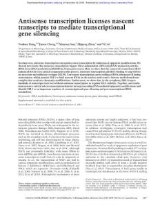 Genes Dev.-2016-Dang-2417-32-Antisense transcription licenses nascent transcripts to mediate transcriptional gene silencing