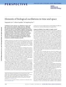nsmb.3320-Elements of biological oscillations in time and space