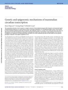 nsmb.3324-Genetic and epigenomic mechanisms of mammalian circadian transcription