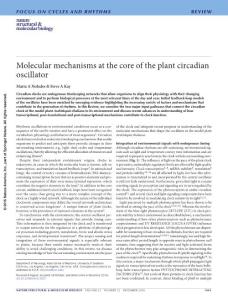 nsmb.3327-Molecular mechanisms at the core of the plant circadian oscillator
