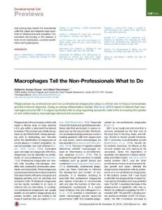 Developmental Cell-2016-Macrophages Tell the Non-Professionals What to Do