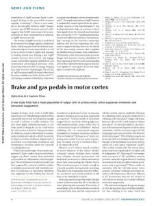 nn.4461-Brake and gas pedals in motor cortex