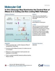 Molecular Cell-2017-In Vivo Cleavage Map Illuminates the Central Role of RNase E in Coding and Non-coding RNA Pathways