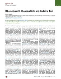 Molecular Cell-2017-Ribonuclease E Chopping Knife and Sculpting Tool