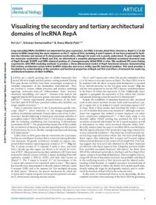 nchembio.2272-Visualizing the secondary and tertiary architectural domains of lncRNA RepA