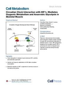 Cell Metabolism-2017-Circadian Clock Interaction with HIF1α Mediates Oxygenic Metabolism and Anaerobic Glycolysis in Skeletal Muscle