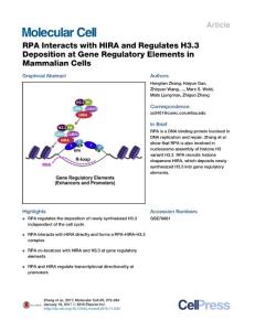 Molecular Cell-2017-RPA Interacts with HIRA and Regulates H3.3 Deposition at Gene Regulatory Elements in Mammalian Cells