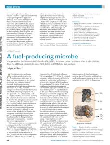 nchembio.2288-Nitrogenase- A fuel-producing microbe