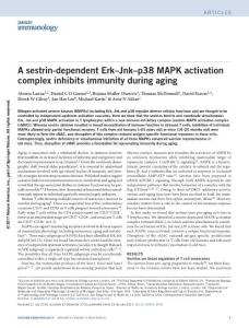 ni.3665-A sestrin-dependent Erk–Jnk–p38 MAPK activation complex inhibits immunity during aging