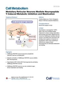 Cell Metabolism-2017-Medullary Reticular Neurons Mediate Neuropeptide Y-Induced Metabolic Inhibition and Mastication