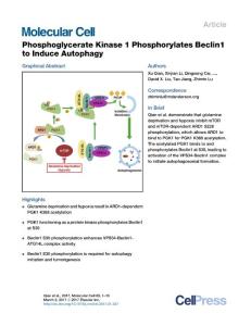 Molecular Cell-2017-Phosphoglycerate Kinase 1 Phosphorylates Beclin1 to Induce Autophagy