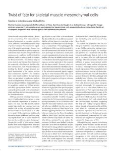 ncb3482-Twist of fate for skeletal muscle mesenchymal cells