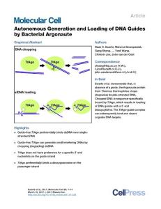 Molecular Cell-2017-Autonomous Generation and Loading of DNA Guides by Bacterial Argonaute