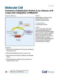 Molecular Cell-2017-Functions of Replication Protein A as a Sensor of R Loops and a Regulator of RNaseH1