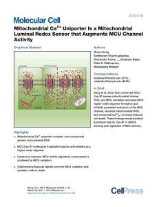 Molecular Cell-2017-Mitochondrial Ca2+ Uniporter Is a Mitochondrial Luminal Redox Sensor that Augments MCU Channel Activity