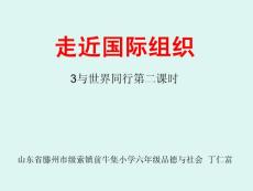 一3.2与世界同行第二课时走近国际组织