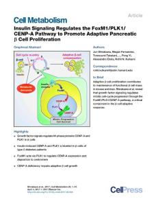 Cell Metabolism-2017-Insulin Signaling Regulates the FoxM1-PLK1-CENP-A Pathway to Promote Adaptive Pancreatic β Cell Proliferation