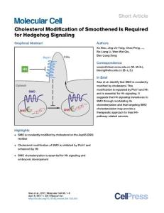 Molecular Cell-2017-Cholesterol Modification of Smoothened Is Required for Hedgehog Signaling