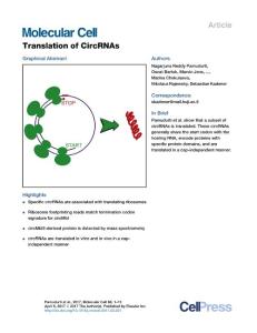 Molecular Cell-2017-Translation of CircRNAs
