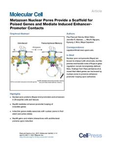 Molecular Cell-2017-Metazoan Nuclear Pores Provide a Scaffold for Poised Genes and Mediate Induced Enhancer-Promoter Contacts