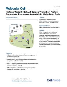 Molecular Cell-2017-Histone Variant H2A.L.2 Guides Transition Protein-Dependent Protamine Assembly in Male Germ Cells