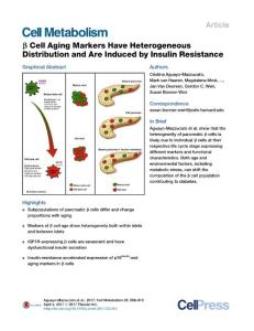 Cell Metabolism-2017-β Cell Aging Markers Have Heterogeneous Distribution and Are Induced by Insulin Resistance
