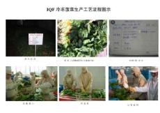 IQF冷冻菠菜生产工艺流程图示