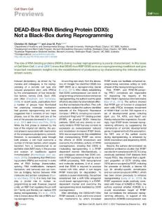 Cell Stem Cell-2017-DEAD-Box RNA Binding Protein DDX5 Not a Black-Box during Reprogramming