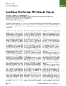 Molecular Cell-2017-Cold Signal Shuttles from Membrane to Nucleus