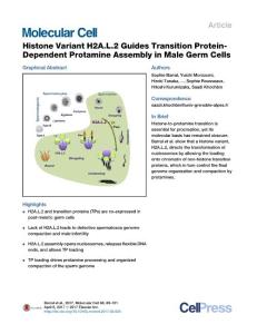Molecular Cell-2017-Histone Variant H2A.L.2 Guides Transition Protein-Dependent Protamine Assembly in Male Germ Cells
