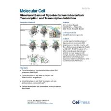Molecular Cell-2017-Structural Basis of Mycobacterium tuberculosis Transcription and Transcription Inhibition
