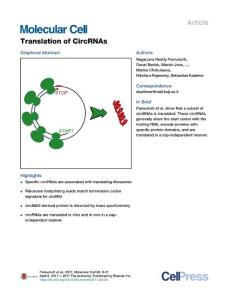 Molecular Cell-2017-Translation of CircRNAs