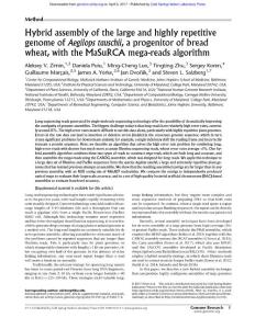 Genome Res.-2017-Zimin-Hybrid assembly of the large and highly repetitive genome of Aegilops tauschii, a progenitor of bread wheat, with the MaSuRCA mega-reads algorithm