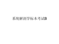 系统解剖学标本考试B
