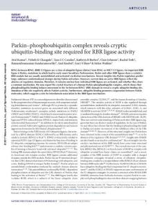 nsmb.3400-Parkin–phosphoubiquitin complex reveals cryptic ubiquitin-binding site required for RBR ligase activity