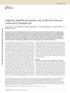 ng.3855-Adiposity amplifies the genetic risk of fatty liver disease conferred by multiple loci