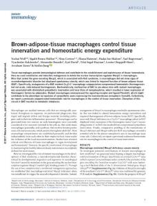 ni.3746-Brown-adipose-tissue macrophages control tissue innervation and homeostatic energy expenditure